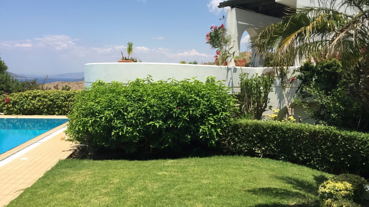 Photo of Outdoor in Palaia Fokaia