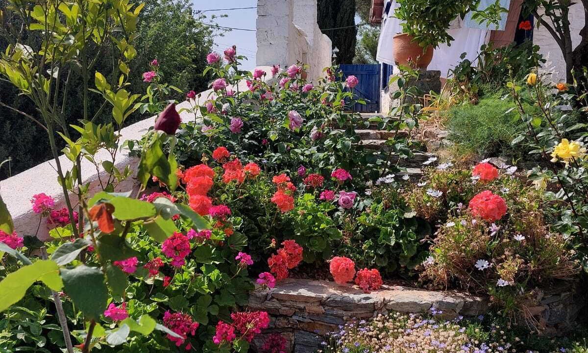 Photo of Outdoor in Glossa