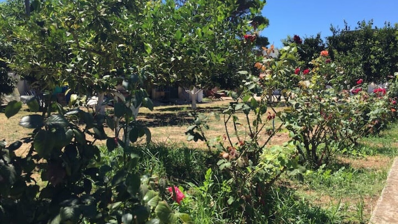 Photo of Outdoor in Mytikas