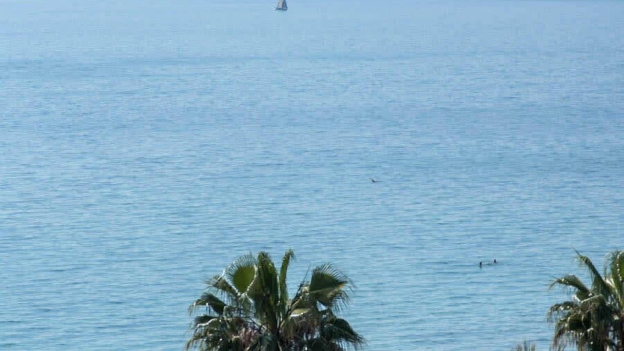Photo of Others in Palaio Faliro