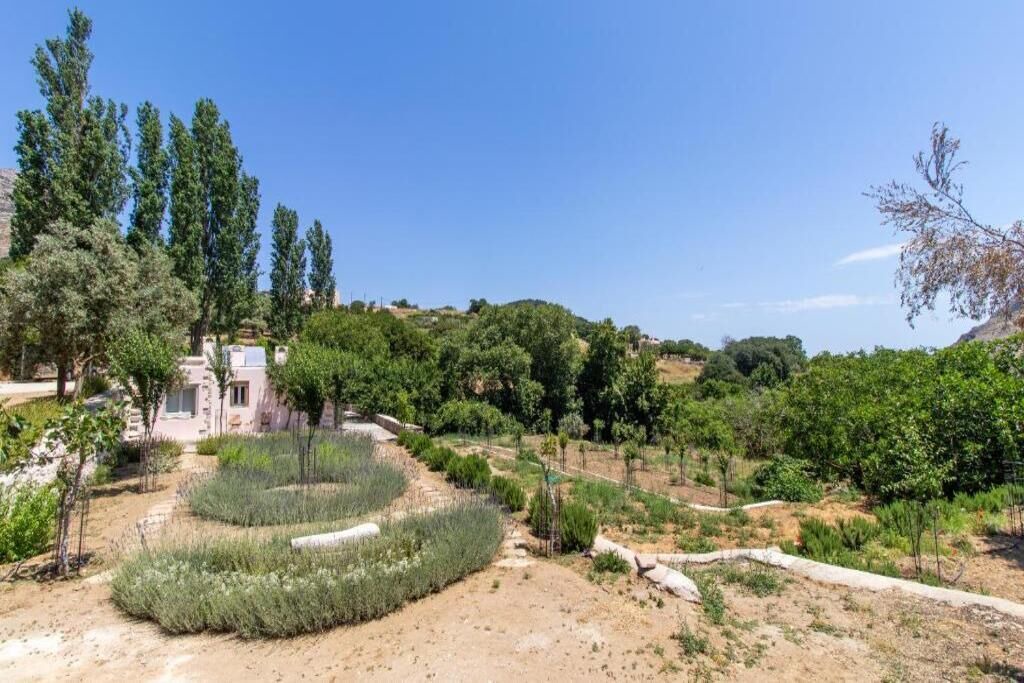 Photo of Outdoor in Aperathos
