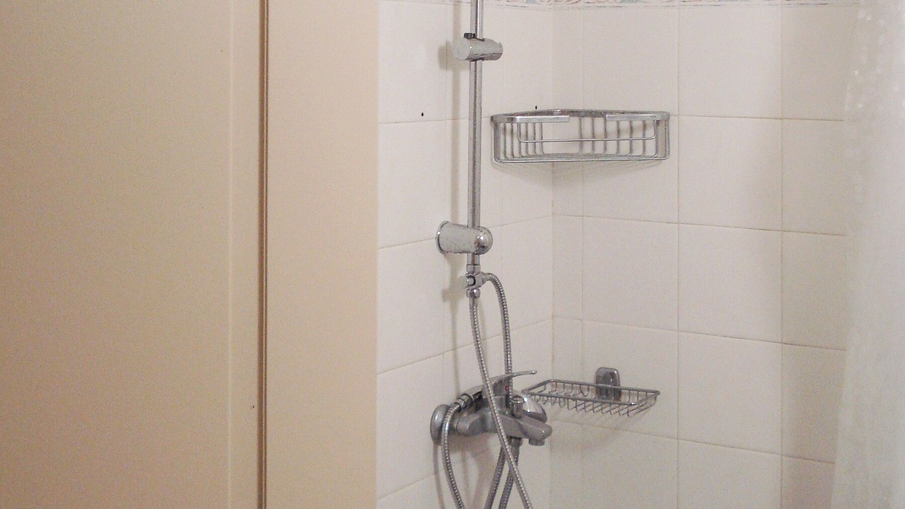 Photo of Bathroom in Skaleta