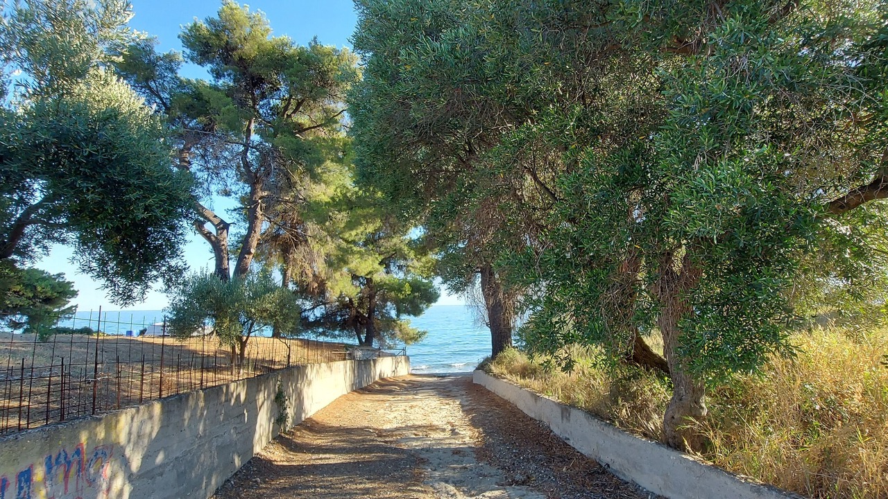 Photo of Others in Halkidiki