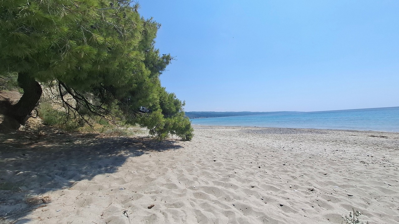 Photo of Others in Halkidiki