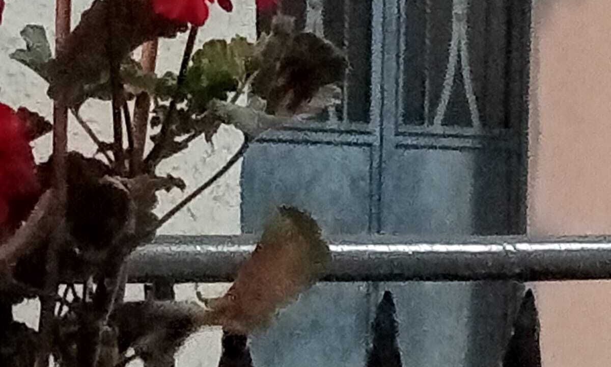 Photo of Outdoor in Koroni