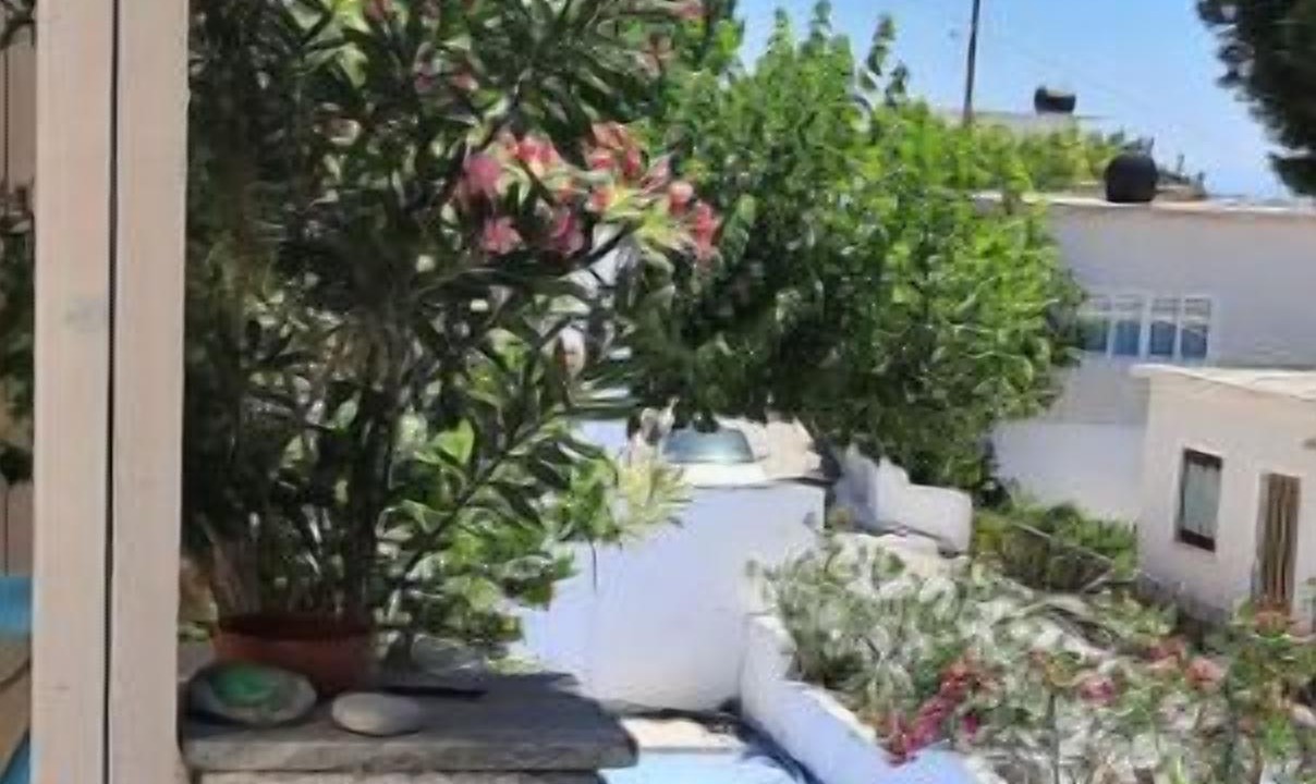 Photo of Outdoor in Patsianos