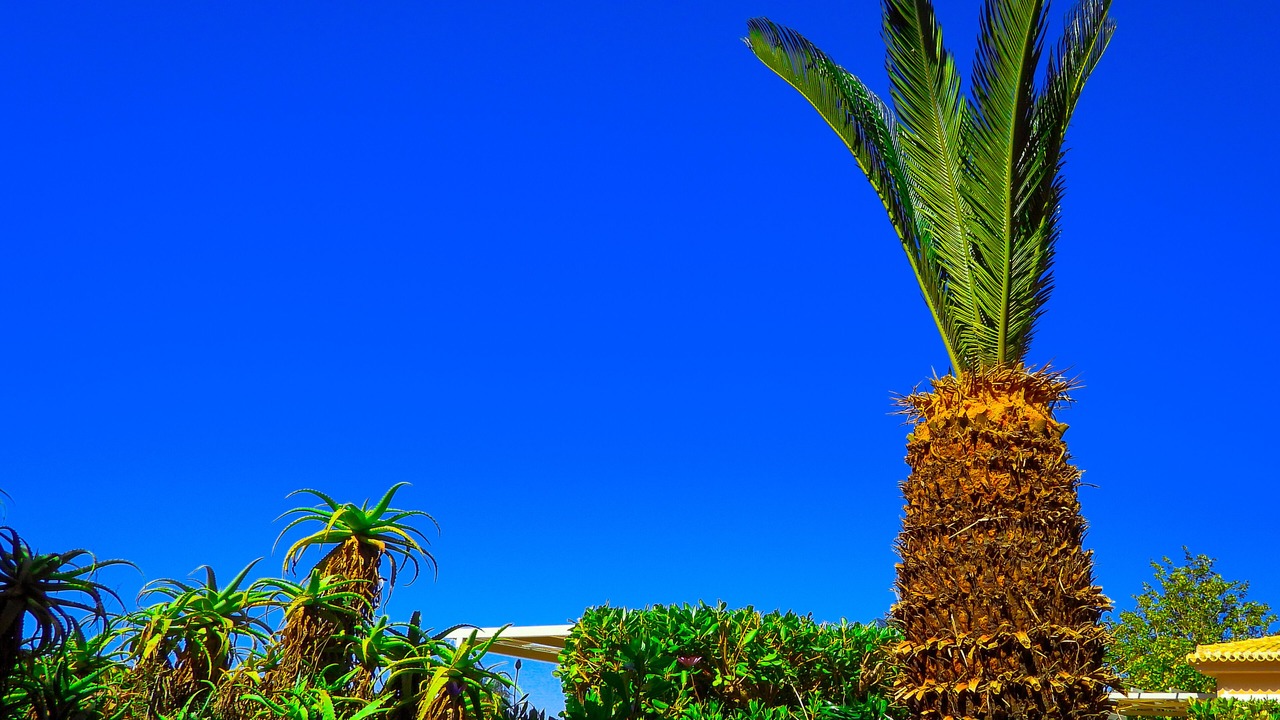 Photo of Outdoor in Gialova