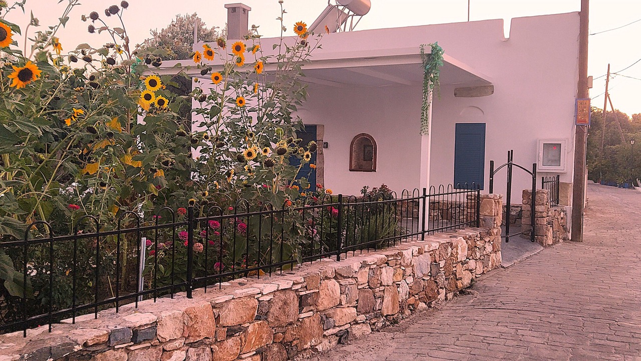 Photo of Outdoor in Lagoudi Zia
