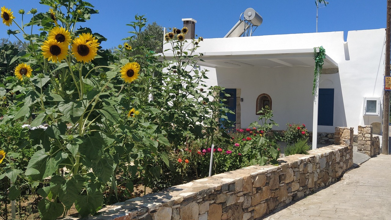 Photo of Outdoor in Lagoudi Zia
