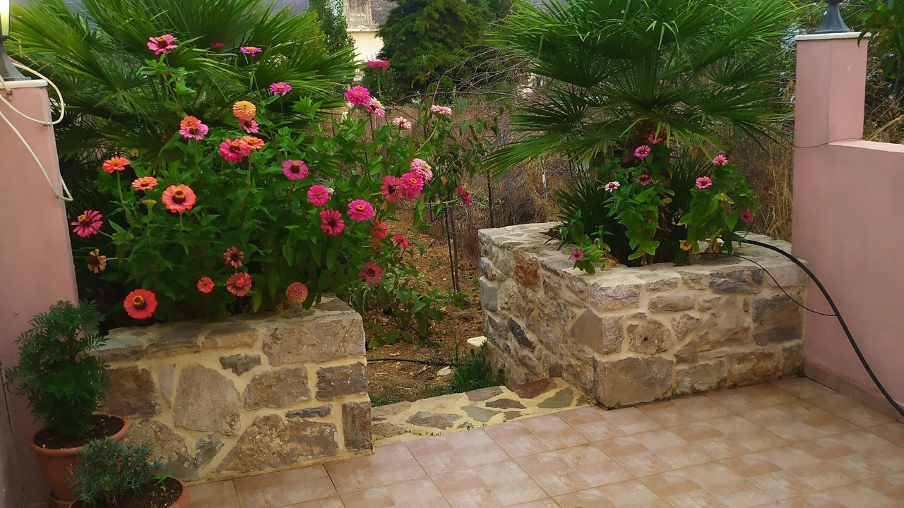 Photo of Outdoor in Skotino