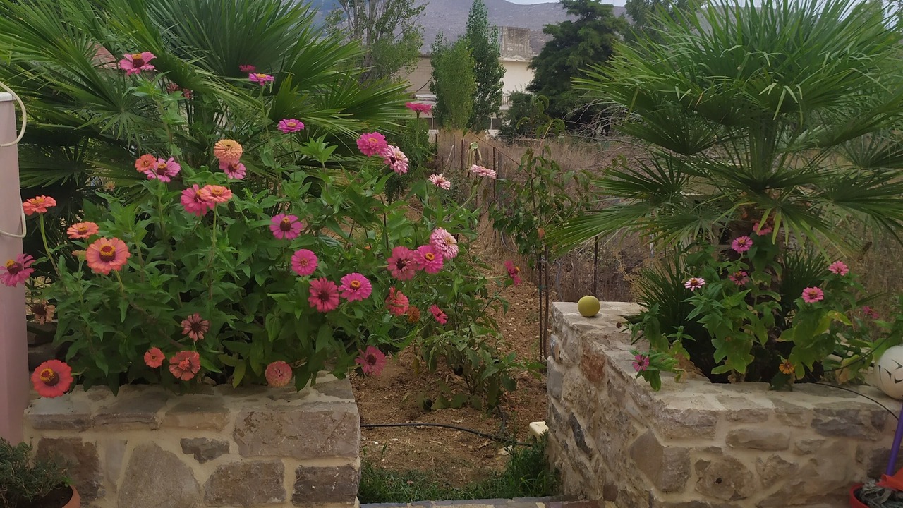Photo of Outdoor in Skotino