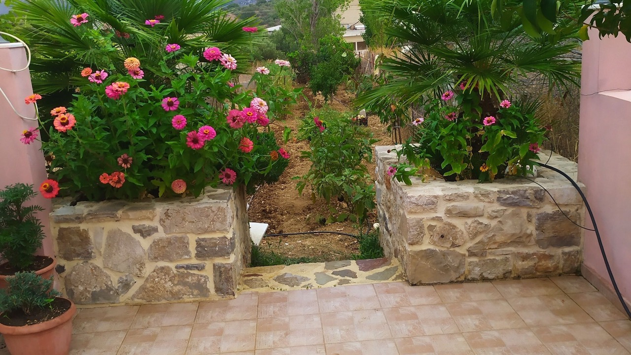 Photo of Outdoor in Skotino