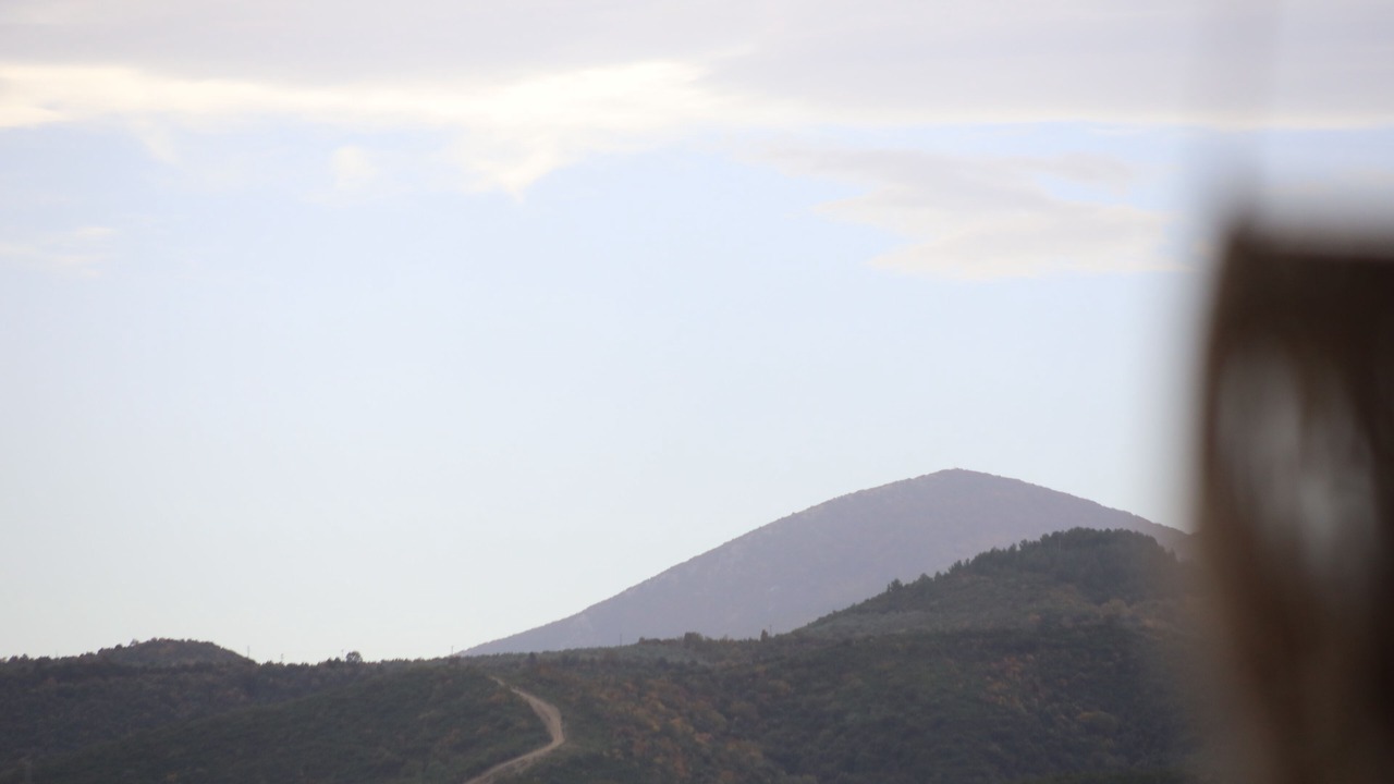Photo of Others in Leptokaria