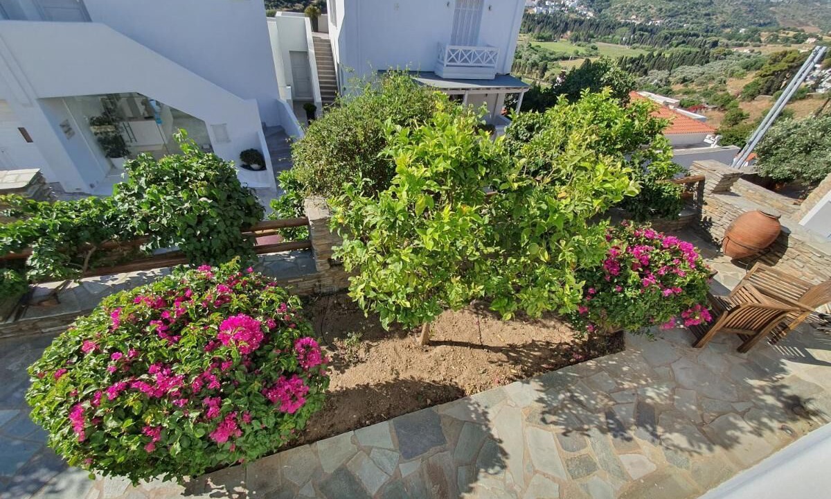 Photo of Outdoor in Paleopolis