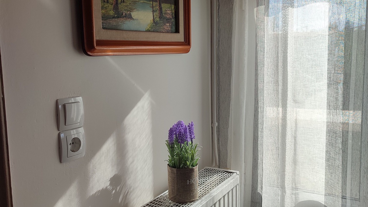 Photo of Others in Ioannina