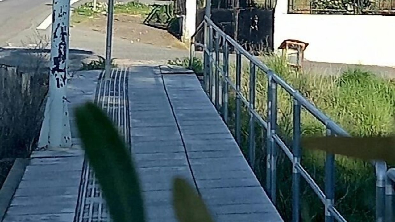 Photo of Others in Megalopolis