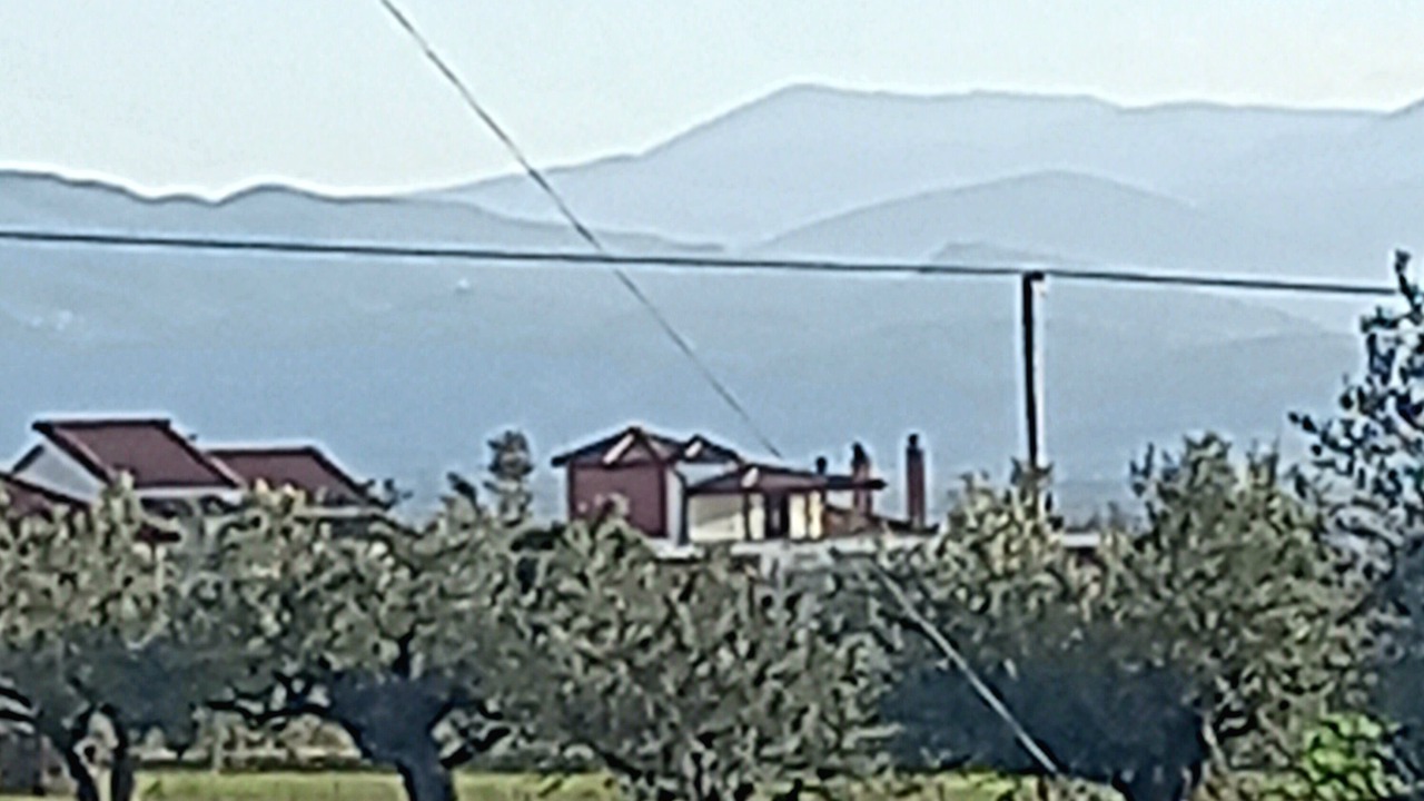 Photo of Others in Megalopolis