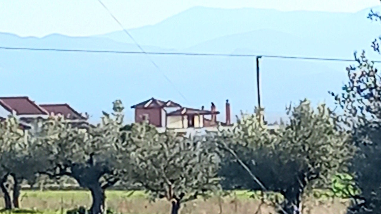 Photo of Others in Megalopolis