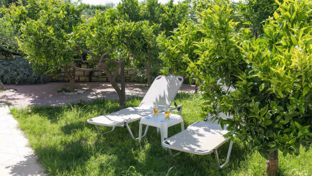 Photo of Outdoor in Pigouniana