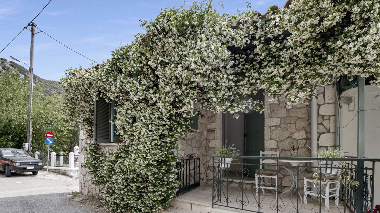 Photo of Outdoor in Drimonas