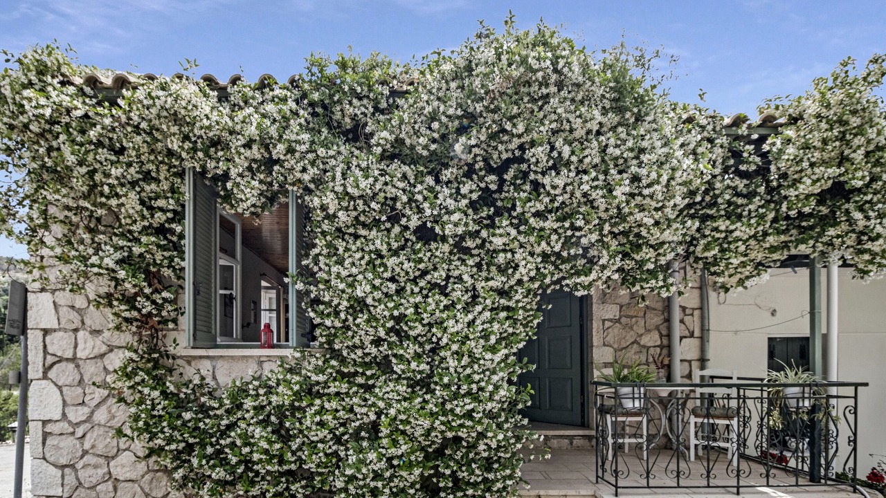 Photo of Outdoor in Drimonas