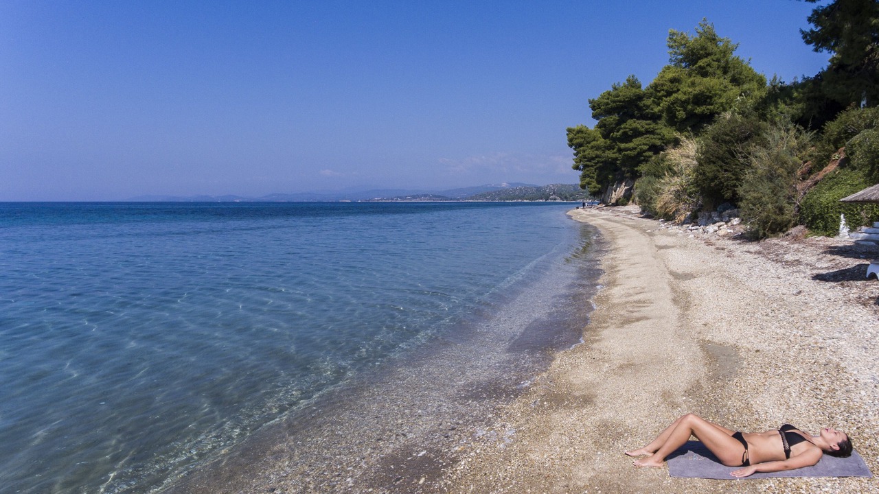 Photo of Others in Elia