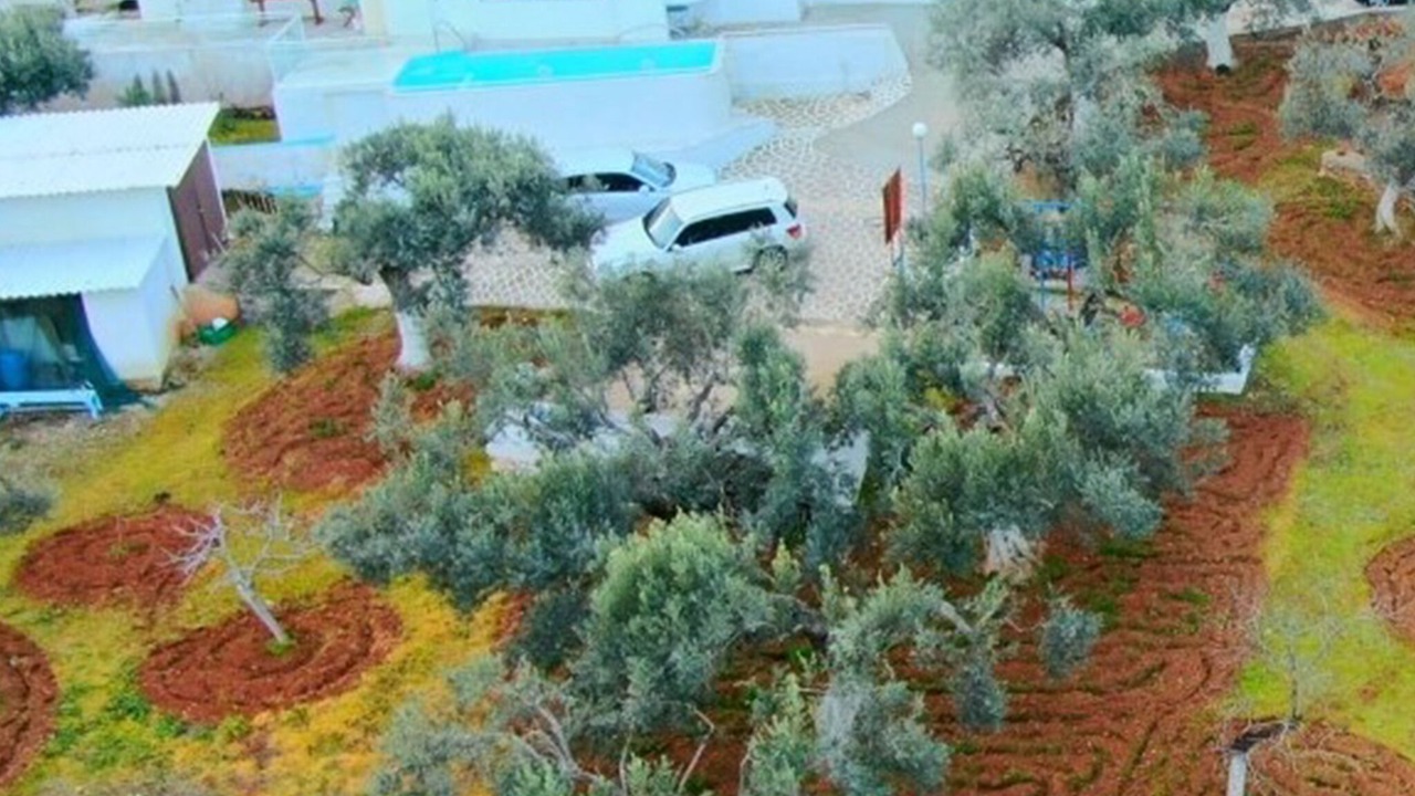 Photo of Outdoor in Sesi