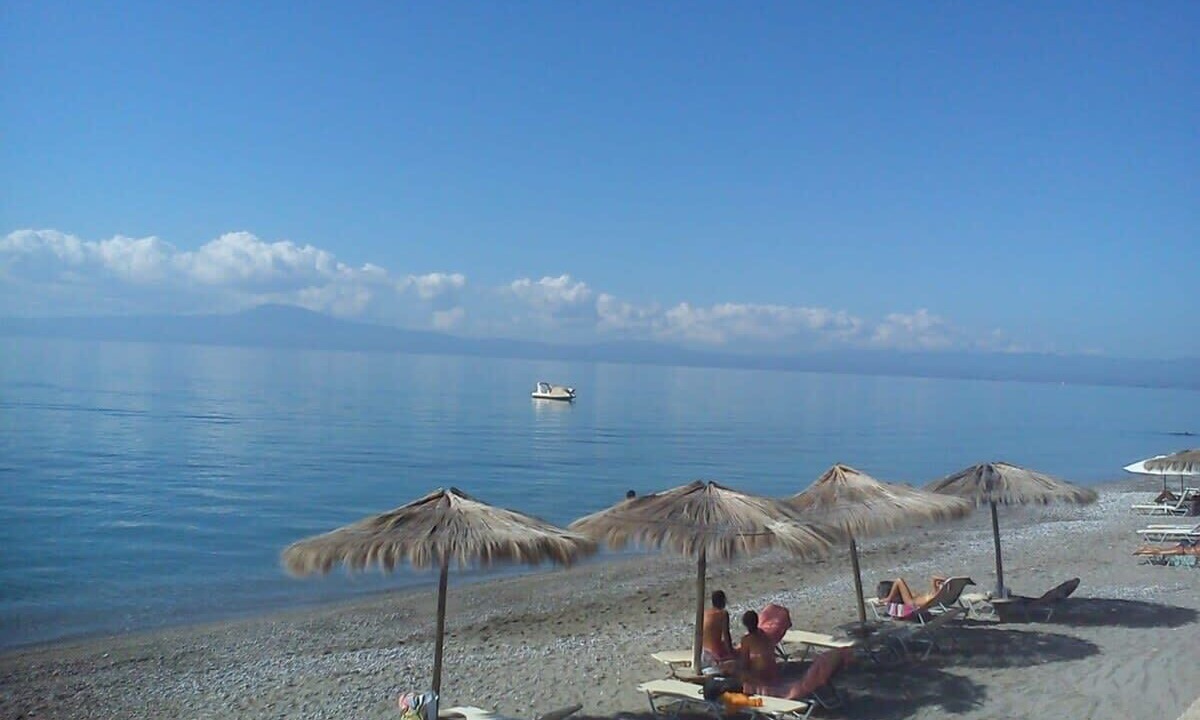 Photo of Others in Avia