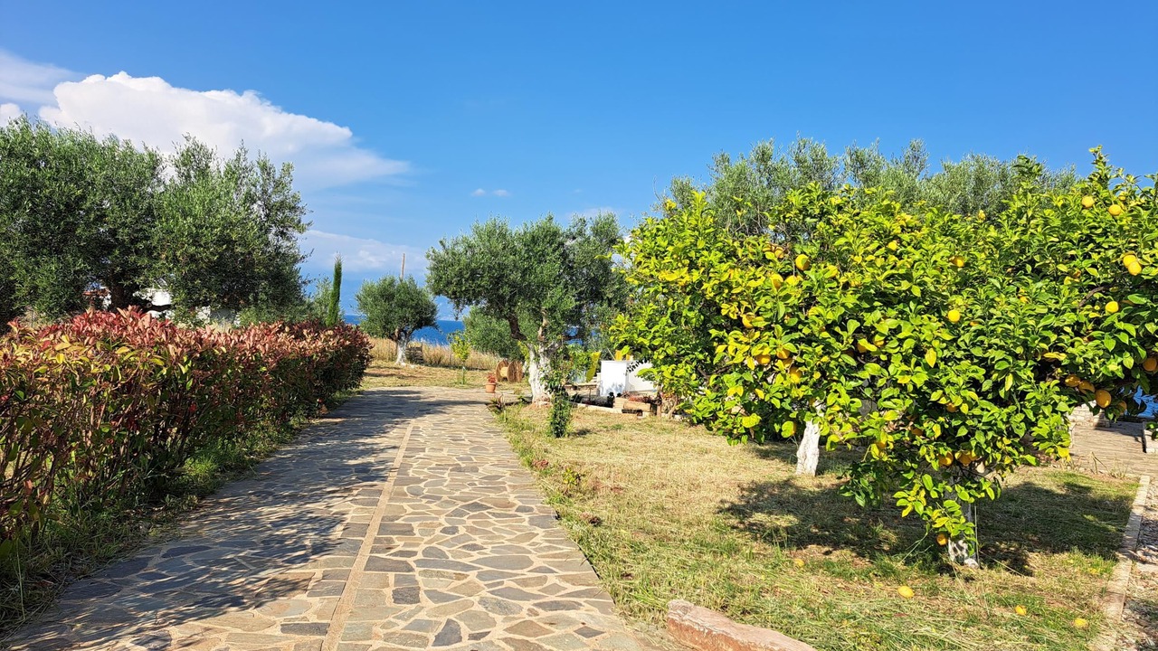 Photo of Outdoor in Aipeia