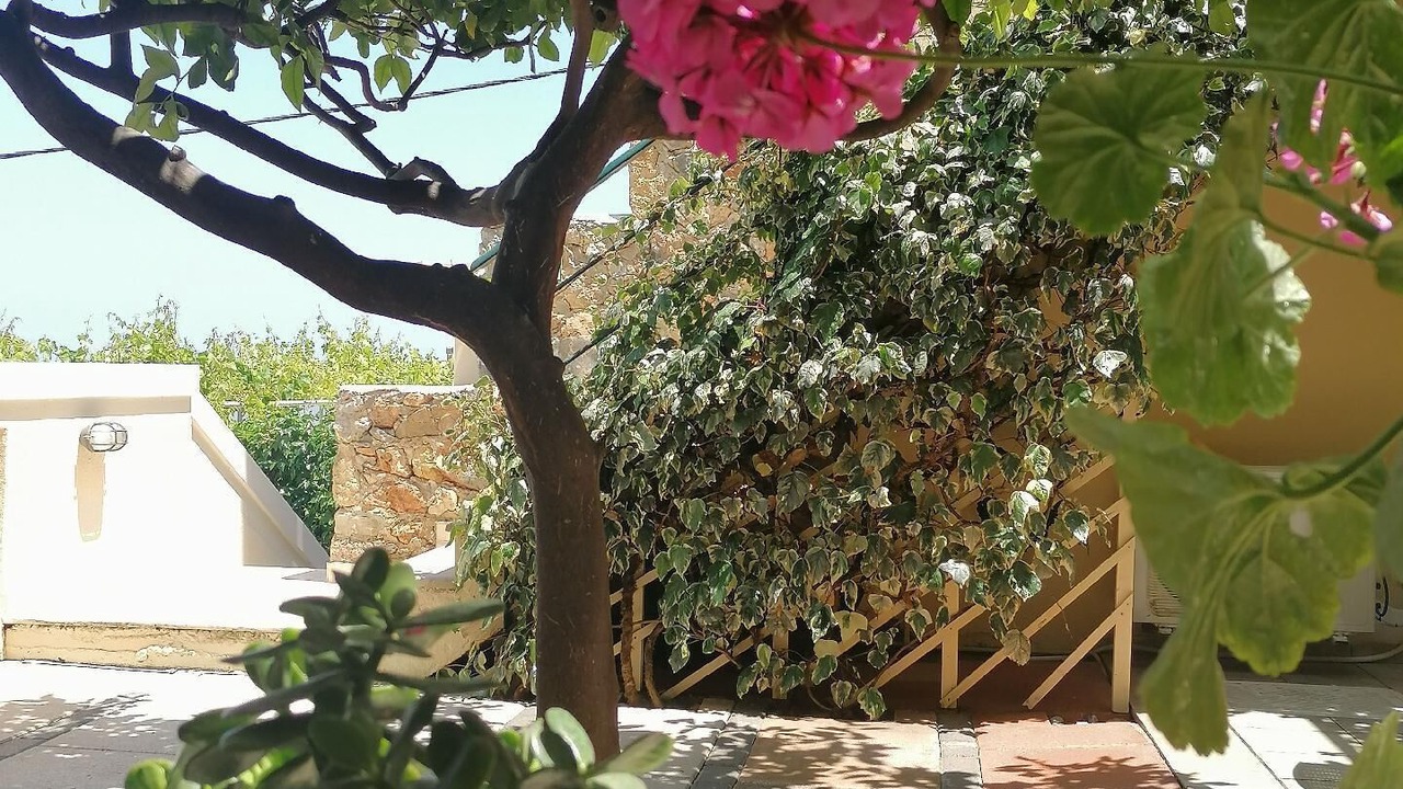 Photo of Outdoor in Stalida