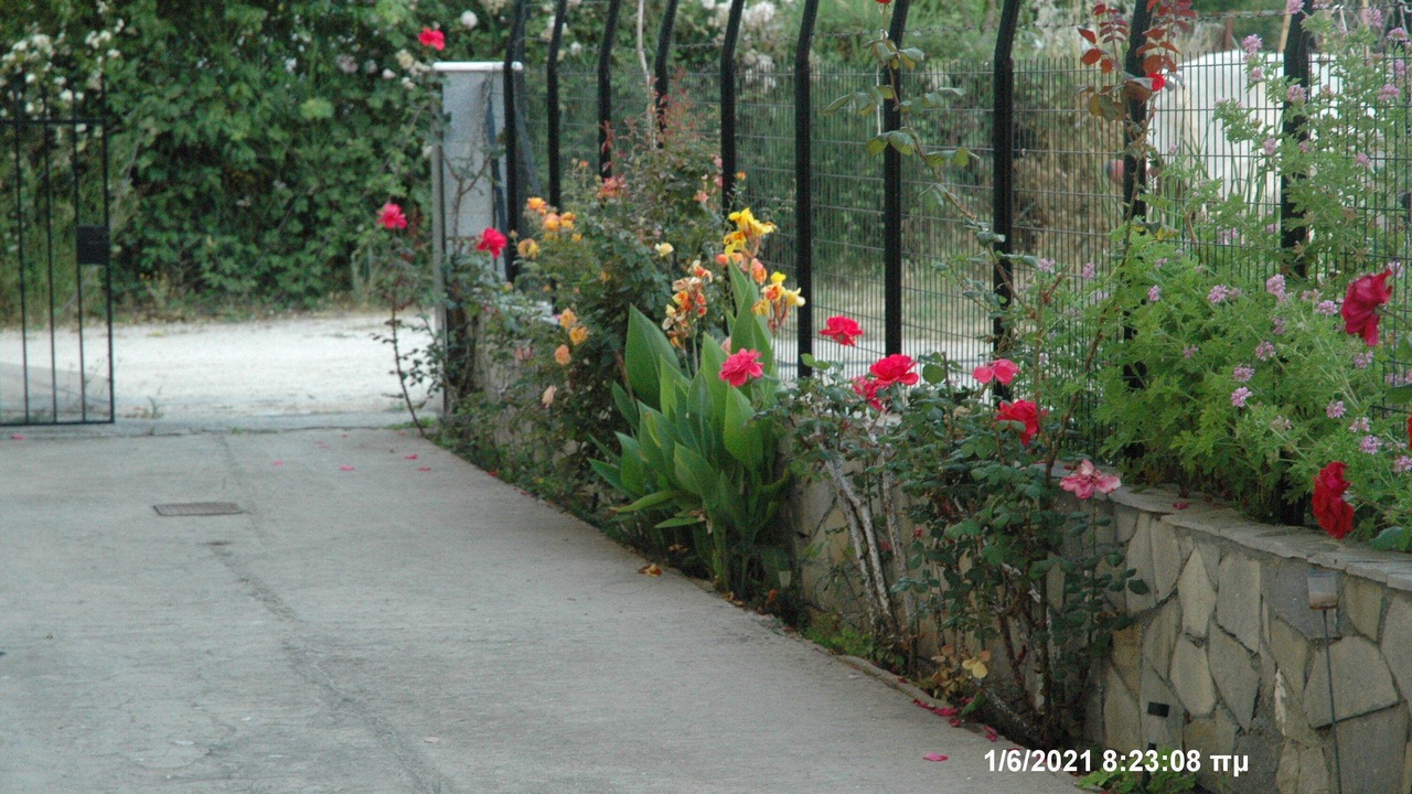 Photo of Outdoor in Patras