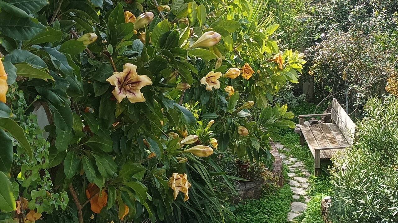 Photo of Outdoor in Asini