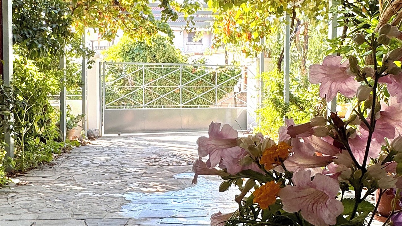 Photo of Outdoor in Asini