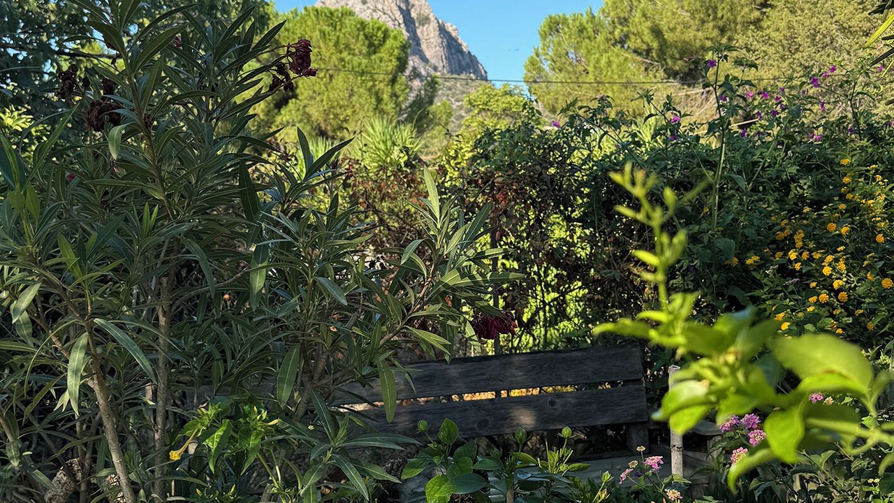 Photo of Outdoor in Asini
