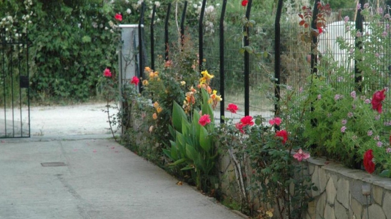 Photo of Outdoor in Patras