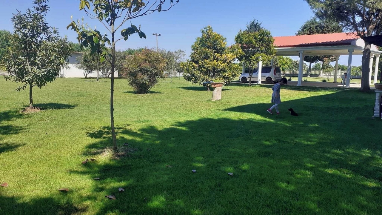 Photo of Outdoor in Katerini