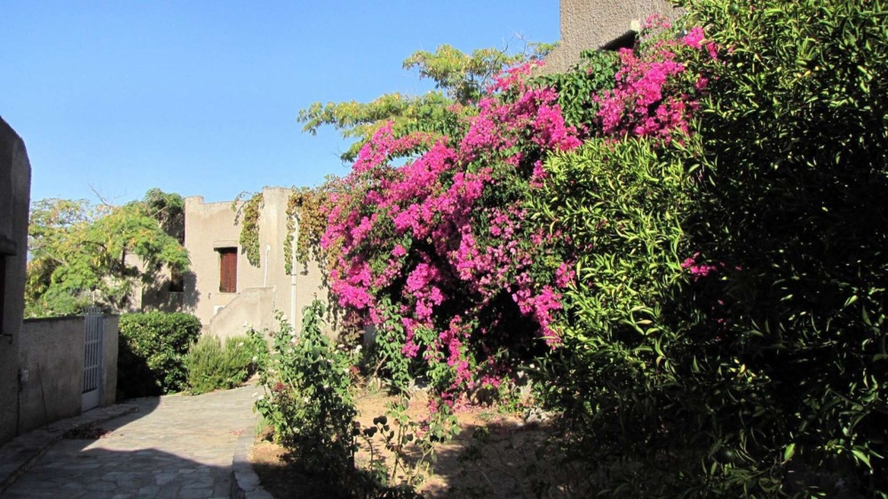 Photo of Outdoor in Mavrovouni