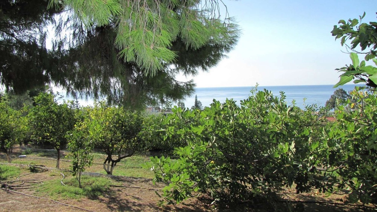 Photo of Outdoor in Mavrovouni