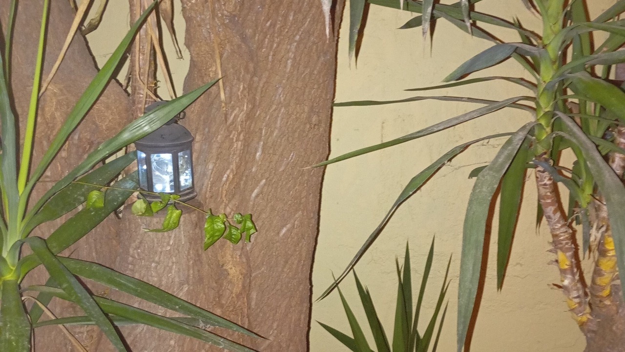 Photo of Outdoor in Irakleio
