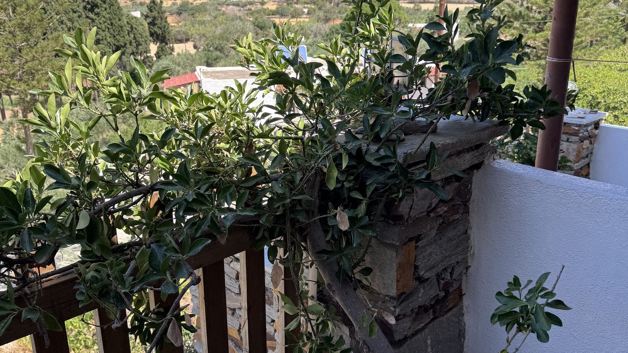 Photo of Outdoor in Pisses