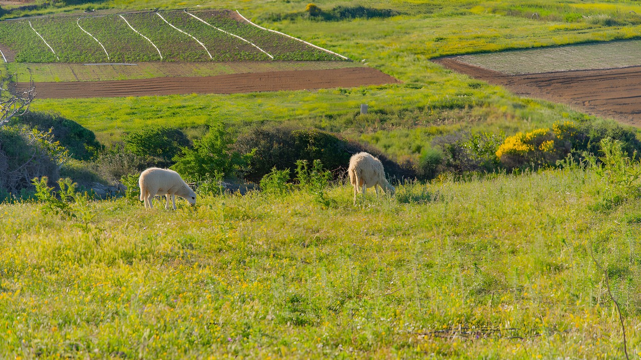 Photo of Others in Andros