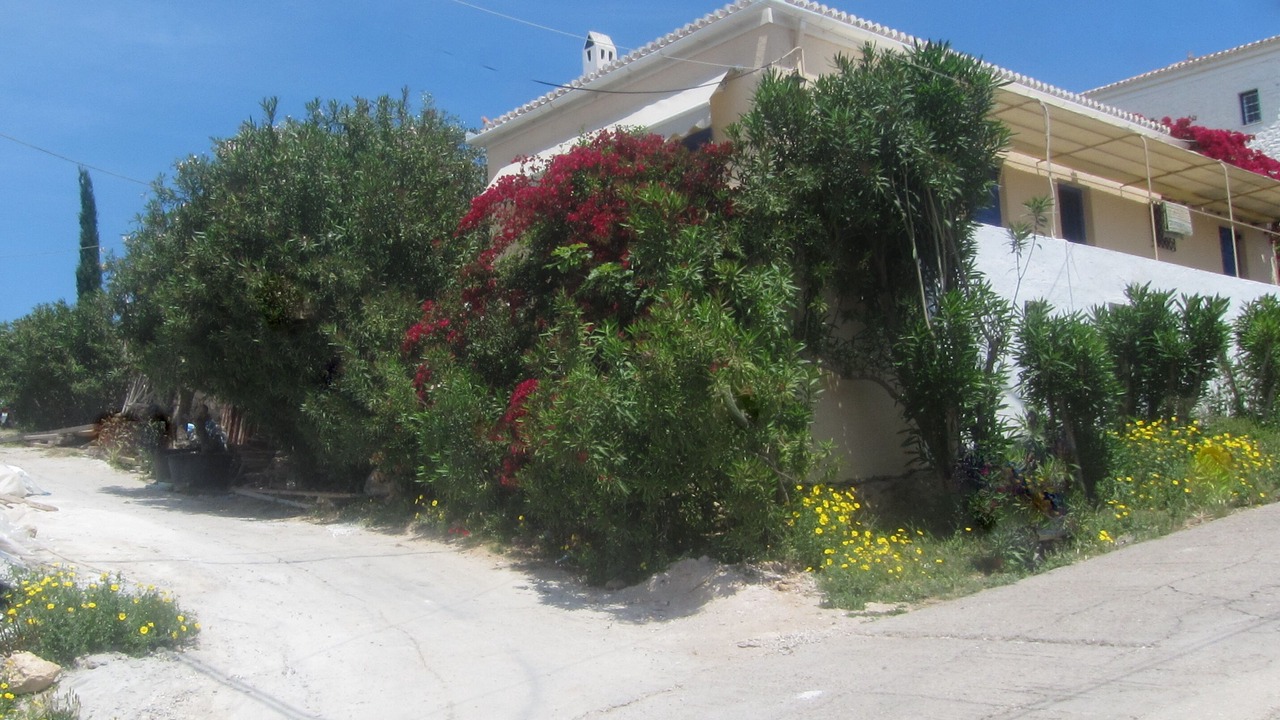 Photo of Outdoor in Spetses