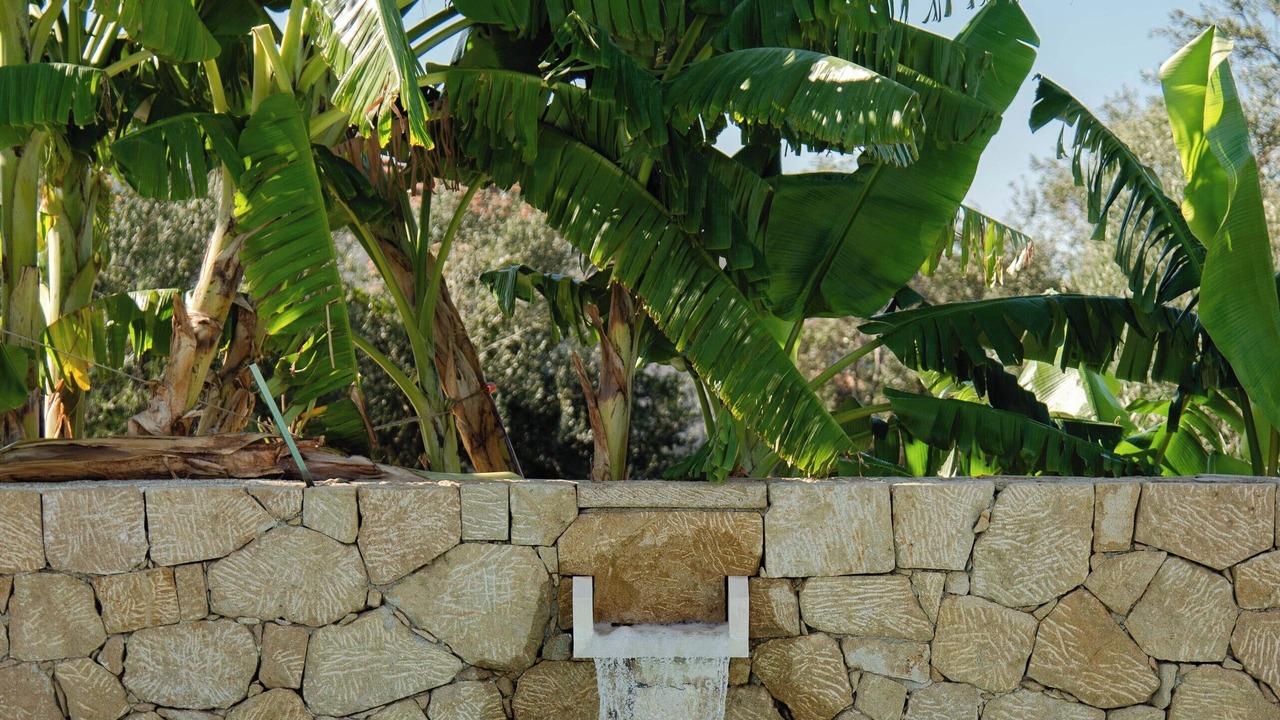 Photo of Outdoor in Sfakera