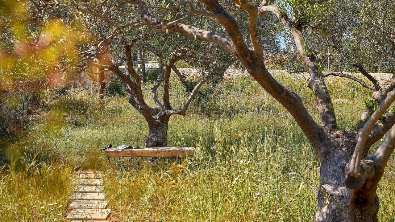 Photo of Others in Chania