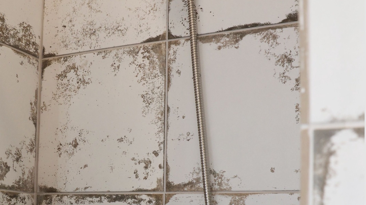 Photo of Bathroom in Trygonas