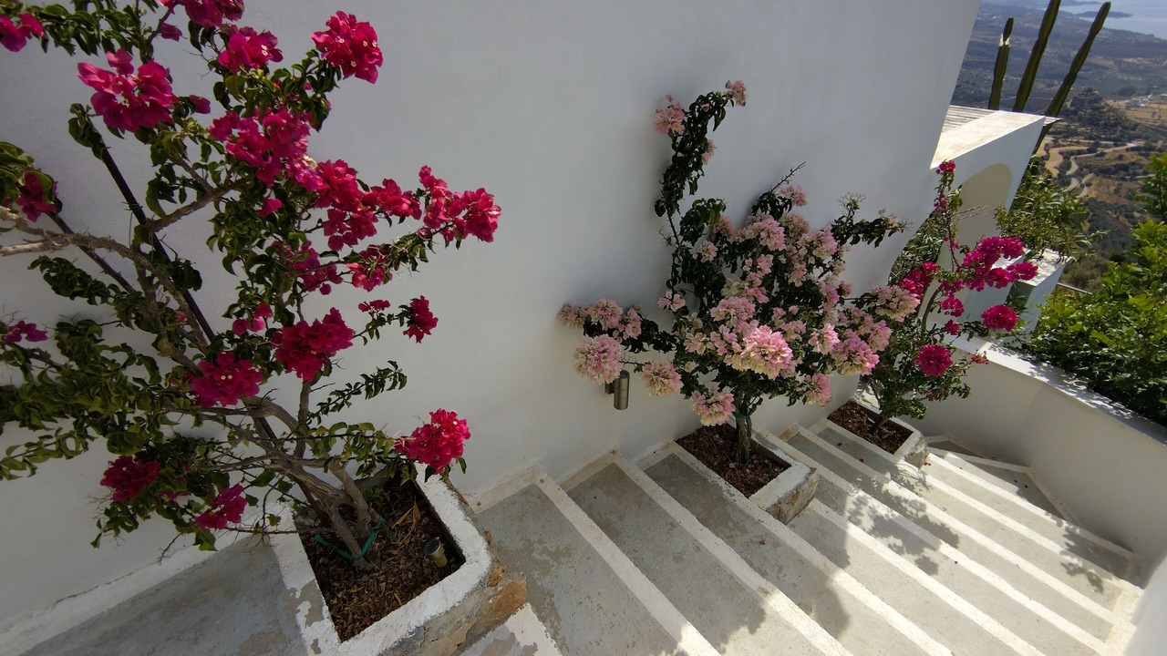Photo of Outdoor in Voia