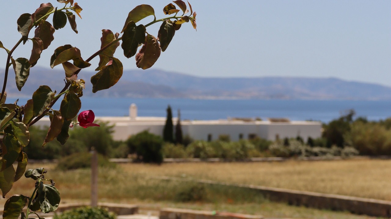 Photo of Outdoor in Ampelas