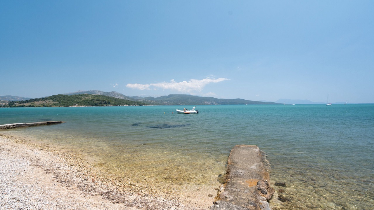 Photo of Others in Lygia