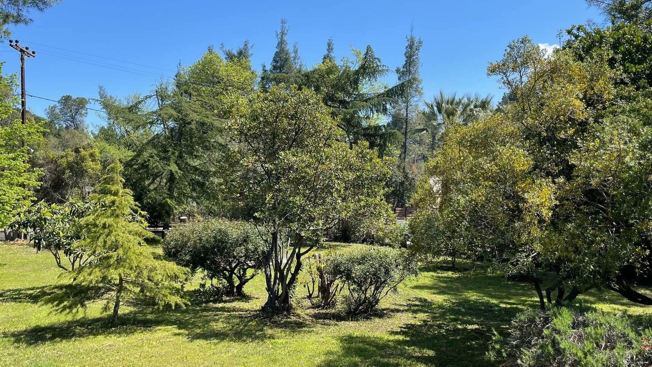 Photo of Outdoor in Halkidiki