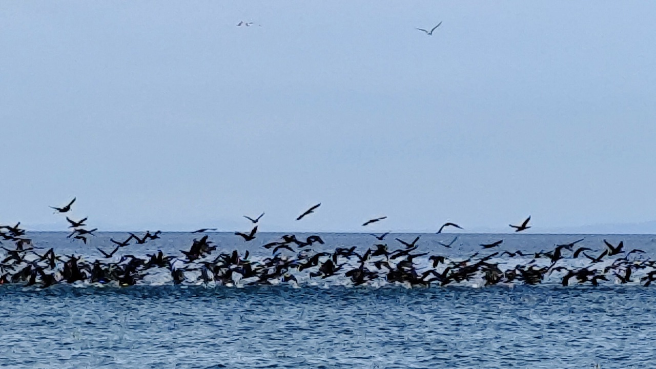 Photo of Others in Leptokaria